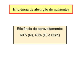 Eficiência de absorção de nutrientes
Eficiência de aproveitamento:
60% (N), 40% (P) e 65(K)
 