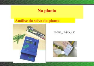 Na planta
N-NO3, P-PO4 e K
Análise da seiva da planta
 