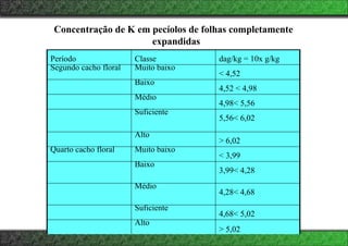 Concentração de K em pecíolos de folhas completamente
expandidas
Período Classe dag/kg = 10x g/kg
Segundo cacho floral Muito baixo
< 4,52
Baixo
4,52 < 4,98
Médio
4,98< 5,56
Suficiente
5,56< 6,02
Alto
> 6,02
Quarto cacho floral Muito baixo
< 3,99
Baixo
3,99< 4,28
Médio
4,28< 4,68
Suficiente
4,68< 5,02
Alto
> 5,02
 