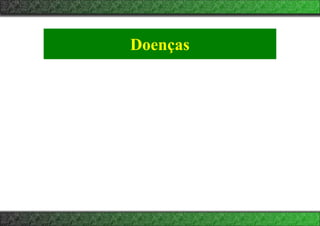 Doenças
 