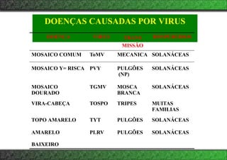 DOENÇAS CAUSADAS POR VIRUS
DOENÇA VIRUS TRANS
MISSÃO
HOSPEDEIROS
MOSAICO COMUM ToMV MECANICA SOLANÁCEAS
MOSAICO Y= RISCA PVY PULGÕES
(NP)
SOLANÁCEAS
MOSAICO
DOURADO
TGMV MOSCA
BRANCA
SOLANÁCEAS
VIRA-CABEÇA TOSPO TRIPES MUITAS
FAMILIAS
TOPO AMARELO TYT PULGÕES SOLANÁCEAS
AMARELO
BAIXEIRO
PLRV PULGÕES SOLANÁCEAS
 