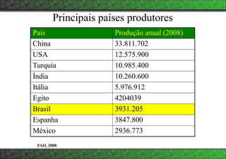Principais países produtores
País Produção anual (2008)
China 33.811.702
USA 12.575.900
Turquia 10.985.400
Índia 10.260.600
Itália 5.976.912
Egito 4204039
Brasil 3931.205
Espanha 3847.800
México 2936.773
FAO, 2008
 