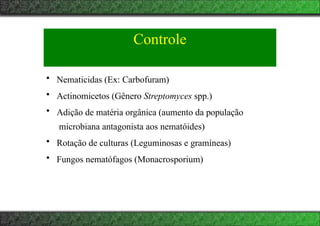 Controle
• Nematicidas (Ex: Carbofuram)
• Actinomicetos (Gênero Streptomyces spp.)
• Adição de matéria orgânica (aumento da população
microbiana antagonista aos nematóides)
• Rotação de culturas (Leguminosas e gramíneas)
• Fungos nematófagos (Monacrosporium)
 