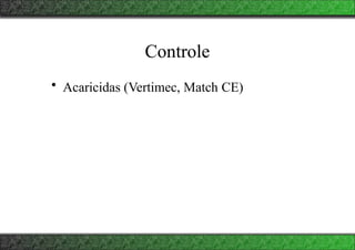 Controle
• Acaricidas (Vertimec, Match CE)
 