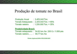 Produção de tomate no Brasil
 