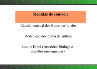 Medidas de controle
Catação manual dos frutos perfurados
Destruição dos restos de cultura
Uso de Dipel ( inseticida biológico -
Bacillus thuringiensis)
 