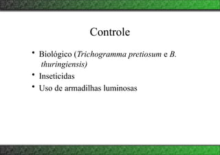 Controle
• Biológico (Trichogramma pretiosum e B.
thuringiensis)
• Inseticidas
• Uso de armadilhas luminosas
 