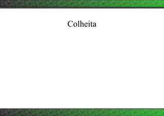 Colheita
 