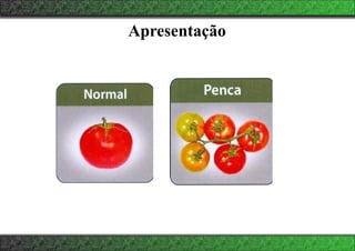 Apresentação
 