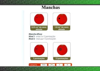 Manchas
 