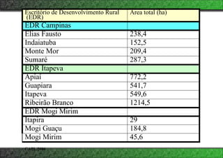 Escritório de Desenvolvimento Rural
(EDR)
Área total (ha)
EDR Campinas
Elias Fausto 238,4
Indaiatuba 152,5
Monte Mor 209,4
Sumaré 287,3
EDR Itapeva
Apiaí 772,2
Guapiara 541,7
Itapeva 549,6
Ribeirão Branco 1214,5
EDR Mogi Mirim
Itapira 29
Mogi Guaçu 184,8
Mogi Mirim 45,6
CATI, 2006
 