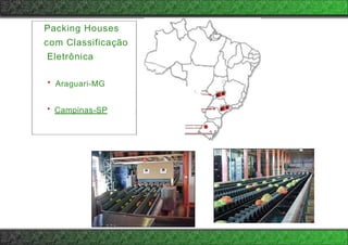 Packing Houses
com Classificação
Eletrônica
• Araguari-MG
. 1 1 ,
•· Campinas-SP 1 -
==•,
 