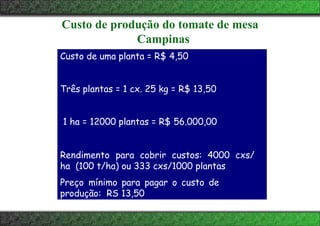 Custo de produção do tomate de mesa
Campinas
Custo de uma planta = R$ 4,50
Três plantas = 1 cx. 25 kg = R$ 13,50
1 ha = 12000 plantas = R$ 56.000,00
Rendimento para cobrir custos: 4000 cxs/
ha (100 t/ha) ou 333 cxs/1000 plantas
Preço mínimo para pagar o custo de
produção: RS 13,50
 