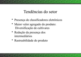Tendências do setor
• Presença de classificadores eletrônicos
• Maior valor agregado do produto:
Diversificação de cultivares
• Redução da presença dos
intermediários
• Rastreabilidade do produto
 
