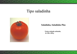 Tipo saladinha
Saladinha, Saladinha Plus
Frutos redondo achatado,
de 100 a 200 g
 