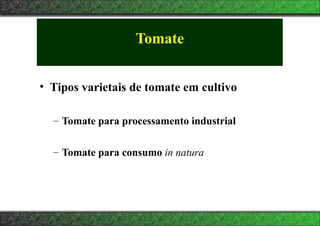 Tomate
• Tipos varietais de tomate em cultivo
– Tomate para processamento industrial
– Tomate para consumo in natura
 