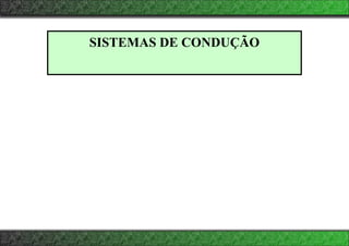 SISTEMAS DE CONDUÇÃO
 