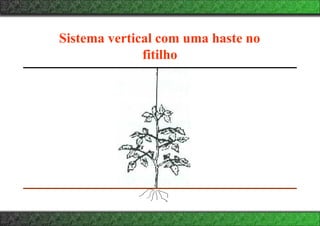 Sistema vertical com uma haste no
fitilho
 