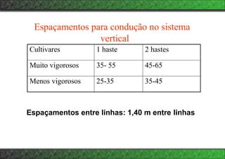 Espaçamentos para condução no sistema
vertical
Cultivares 1 haste 2 hastes
Muito vigorosos 35- 55 45-65
Menos vigorosos 25-35 35-45
Espaçamentos entre linhas: 1,40 m entre linhas
 