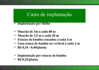 Custo de implantação
• Implantação por fitilho
• Mourão de 3m a cada 80 m
• Mourão de 2,5 m a cada 20 m
• Estacas de bambu cruzadas a cada 4 m
• Uma estaca de bambu na vertical a cada 2 m
• R$ 0,34 - 0,40/planta
• Implantação por estacas de bambu
• R$ 0,25/planta
 