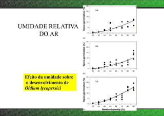 UMIDADE RELATIVA
DO AR
Efeito da umidade sobre
o desenvolvimento de
Oidium lycopersici
 