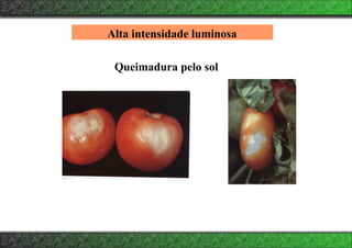 Queimadura pelo sol
Alta intensidade luminosa
 