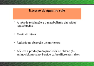 Excesso de água no solo
• A taxa de respiração e o metabolismo das raízes
são afetados.
• Morte de raízes
• Redução na absorção de nutrientes
• Acelera a produção do precursor de etileno (1-
aminociclopropano-1-ácido carboxílico) nas raízes
 