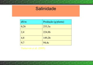 Salinidade
dS/m Produção (g/planta)
0,26 253,3a
2,4 224,8b
4,8 149,2b
9,7 94,4c
Yurtseven et al. (2005)
 