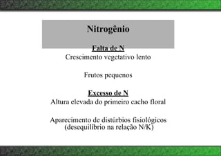 Nitrogênio
Falta de N
Crescimento vegetativo lento
Frutos pequenos
Excesso de N
Altura elevada do primeiro cacho floral
Aparecimento de distúrbios fisiológicos
(desequilíbrio na relação N/K)
 