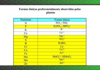 Formas iônicas preferencialmente absorvidas pelas
plantas
Nutriente Forma iônica
N NO3
-; NH4
+
P H2PO4
-; HPO4
2-
K K+
Ca Ca++
Mg Mg++
S SO4
2-
B H3BO3
Cl Cl-
Cu Cu2+
Fe Fe2+
Mo MoO4
2-; HMoO4
-
Mn Mn2+
Zn Zn2+
 
