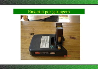 Enxertia por garfagem
 