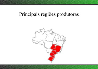 Principais regiões produtoras
 