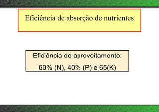 Eficiência de absorção de nutrientes
Eficiência de aproveitamento:
60% (N), 40% (P) e 65(K)
 