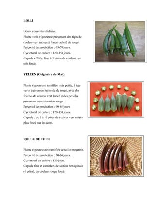 LOLLI


Bonne couverture foliaire.
Plante : très vigoureuse présentant des tiges de
couleur vert moyen à foncé tacheté de rouge.
Précocité de production : 65-70 jours.
Cycle total de culture : 120-150 jours.
Capsule effilée, lisse à 5 côtes, de couleur vert
très foncé.


YELEEN (Originaire du Mali).


Plante vigoureuse, ramifiée mais petite, à tige
verte légèrement tachetée de rouge, avec des
feuilles de couleur vert foncé et des pétioles
présentant une coloration rouge.
Précocité de production : 60-65 jours
Cycle total de culture : 120-150 jours.
Capsule : de 7 à 10 côtes de couleur vert moyen
plus foncé sur les côtes.




ROUGE DE THIES


Plante vigoureuse et ramifiée de taille moyenne.
Précocité de production : 50-60 jours.
Cycle total de culture : 120 jours.
Capsule fine et cannelée, de section hexagonale
(6 côtes), de couleur rouge foncé.
 