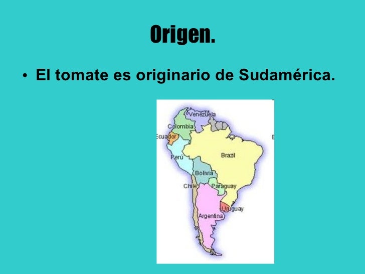 De Donde Es Originario El Tomate