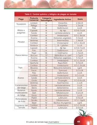 El cultivo de tomate bajo invernadero 45
Tabla 2. Control químico y bilógico de plagas en tomate
Plaga Producto
Comercial
Categoría
Toxicologíca Ingrediente Activo Dosis
Lorsban III Clorpirifos 2.0cc/lt
Trozadores
Ráfaga III Clorpirifos 1.5cc/lt
Polo III Diafentiuron 1cc/lt
Capsialil III Ají -Ajo 0.3-0.7cc/lt
Karate III Lambdacialotsina 1cc/lt
Afidos o
pulgones
Confidor III Imidacloprid 0.5-1.0cc/lt
Ecomix III Extractos vegetales 3.5cc/lt
Vertimec III Avermectina 1.4cc/lt
Confidor III Imidacloprid 0.5-1.0cc/lt
Minador
Bulldock III B- Cyfluthin 1cc/lt
Capsialil III Ají -Ajo 0.3-0.7cc/lt
Polo III Diafentiuron 1cc/lt
Trigar III Ciromazina 1.5cc/lt
Biocanii IV Verticillium le canii 1.5gr/lt
Ecomix III Extractos vegetales 3.5cc/lt
Confidor III Imidacloprid 0.5-1.0cc/lt
Mosca blanca
Oportune III Buprofezin 0.3cc/lt
Confidor III Imidacloprid 0.5-1.0cc/lt
Bioveria IV Beauveria bassiana 1gr/ltTrips
Tracer III Spinosad 0.1cc/lt
Polo III Diafentiuron 1cc/lt
Confidor III Imidacloprid 0.5-1cc/lt
karate III Lambdacialotsina 1cc/lt
Omite III Propargite 0.5-0.6cc/lt
Ácaros
Vertimec III Avermectina 1.cc/lt
Karate III Lambdacialotsina 1cc/ltCucarroncitos
del follaje Decis IV Deltametrina 1cc/lt
Karate III Lambdacialotsina 1cc/lt
Dart IV Teflubenzuron 0.2cc/lt
Gusanos
masticadores
de follaje Decis IV Deltametrina 1cc/lt
Match III Lufenuron 0.5cc/lt
Dimilin IV Diflubenzuron 0.5-1.0gr/lt
Perforadores
de fruto
Dipel IV Bacillus thurigiensis 1gr/lt
Confidor III Imidacloprid 0.5-1.0cc/lt
Match III Lufenuron 0.5cc/lt
Cogolleros del
tomate
 