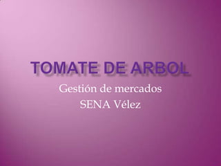 TOMATE DE ARBOL Gestión de mercados SENA Vélez 