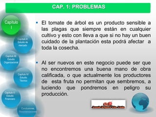 Capítulo
I
Capítulo II:
Estudio de
mercado
Capítulo III:
Estudio
Organizacional
Conclusiones,
Recomendaciones
Capítulo IV:
Estudio
Técnico
CAP. 1: PROBLEMAS
Capítulo
I
 El tomate de árbol es un producto sensible a
las plagas que siempre están en cualquier
cultivo y esto con lleva a que si no hay un buen
cuidado de la plantación esta podrá afectar a
toda la cosecha.
 Al ser nuevos en este negocio puede ser que
no encontremos una buena mano de obra
calificada, o que actualmente los productores
de esta fruta no permitan que sembremos, a
luciendo que pondremos en peligro su
producción.
Capítulo V:
Estudio
Financiero
 