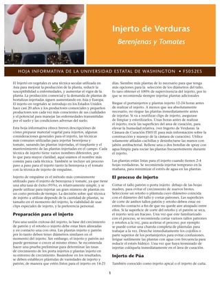 1
Injerto de Verduras
Berenjenas y Tomates
HOJA INFORMATIVA DE LA UNIVERSIDAD ESTATAL DE WASHINGTON • FS052ES
El Injertó en vegetales es una técnica secular utilizada en
Asia para mejorar la producción de la planta, reducir la
susceptibilidad a enfermedades, y aumentar el vigor de la
planta. La producción comercial y la demanda de plantas de
hortalizas injertadas siguen aumentando en Asia y Europa.
El injerto en vegetales se introdujo en los Estados Unidos
hace casi 20 años y los productores comerciales y pequeños
productores son cada vez más conscientes de sus cualidades
y el potencial para manejar las enfermedades transmitidas
por el suelo y las condiciones adversas del suelo.
Esta hoja informativa ofrece breves descripciónes de
cómo preparar material vegetal para injertos, algunas
consideraciones generales para el injerto, las técnicas
más comunes utilizadas para injertar berenjena y
tomate, sanando las plantas injertadas, el trasplante y el
mantenimiento de las plantas injertadas en el campo. Cada
técnica de injerto tiene varios nombres diferentes, por
lo que para mayor claridad, aquí usamos el nombre más
común para cada técnica. También se incluye un proceso
paso a paso para el injerto tanto la berenjena y el tomate
con la técnica de injerto de empalme.
Injerto de empalme es el método más comúnmente
utilizado para el injerto de berenjena y tomate, ya que tiene
una alta tasa de éxito (95%), es relativamente simple, y se
puede utilizar para injertar un gran número de plantas en
un corto periodo de tiempo. La decisión sobre qué técnica
de injerto a utilizar depende de la cantidad de plantas, su
tamaño en el momento del injerto, la viabilidad de usar
clips especiales de injerto, y la preferencia personal.
Preparación para el injerto
Para una unión exitosa del injerto, la base del crecimiento
de patrón y el retoño o injerto debe estar bien alineadas
y en contacto una con otra. Las plantas injerto y patrón
por lo tanto deben tener diámetros similares en el
momento del injerto. Sin embargo, el injerto y patrón no
puede germinar o crecer al mismo ritmo. Se recomienda
hacer una prueba preliminar para determinar las tasas
de crecimiento de los porta injertos y plantas injerto en
su entorno de crecimiento. Basándose en los resultados,
se deben establecer plántulas de variedades de injerto y
patrón; de manera que estén listos para el injerto en 14-21
días. Siembre más plantas de lo necesario para que tenga
más opciones para la selección de los diámetros del tallo.
Es raro obtener el 100% de supervivencia del injerto, por lo
que se recomienda siempre injertar plantas adicionales
Riegue el portainjertos y plantas injerto 12-24 horas antes
de realizar el injerto. A menos que sea absolutamente
necesario, no riegue las plantas inmediatamente antes
de injertar. Si va a reutilizar clips de injerto, asegurase
de limpiar y esterilizarlos. Unas horas antes de realizar
el injerto, rocíe las superficies del area de curación, para
elevar la humedad relativa. (ver Ingerto de Verduras: la
Cámara de Curación FS051E para más información sobre la
construcción y manejo de la cámara de curación). Utilice
solamente afiladas cuchillas y desinfectarse las manos con
jabón antibacterial. Rellene una o dos botellas de spray con
agua limpia para rociar las plantas frecuentemente durante
el injerto.
Las plantas están listas para el injerto cuando tienen 2-4
hojas verdaderas. Se recomienda injertar temprano en la
mañana, para minimizar el estrés de agua en las plantas.
El proceso de injerto
Cortar el tallo patrón o porta injerto debajo de las hojas
madres, para evitar el crecimiento de nuevos brotes.
Seleccione un retoño o plántula cuyo diámetro coincida
con el diámetro del tallo y cortar patrones. Las superficies
de corte de ambos tallos patrón y retoño deben estar en
estrecho contacto a fin de que no quede aire atrapado entre
ellos. Si la superficie de corte del retoño y el patrón se seca,
el injerto será un fracaso. Una vez que este familiarizado
con el proceso, se recomienda cortar varioos tallos patrones
y retoños a la vez, para acelerar el proceso; por ejemplo
se puede cortar una charola completa de plántulas para
trabajar a la vez. Deseche inmediatamente los cojollos o
parte superior de los portainjertos para evitar confusiones.
Irrigue sutilmente las plantas con agua con frecuencia para
reducir el estrés hídrico. Una vez que haya terminado de
injertar colóquela inmediatamente en el área de curación.
Injerto de Púa
También conocido como injerto apical o el injerto de cuña.
 