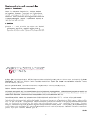 4
By Carol Miles, Vegetable Horticulturist, WSU Mount Vernon Northwestern Washington Research and Extension Center, Mount Vernon, WA; Sarita
Role Schaffer, WSU Small Farms NW Latino Program Coordinator, Mount Vernon, WA; and Elisa Estrada, Programa Agricultor a Agricultor, Proyecto
Horticultura, Managua, Nicaragua
Reveiwed by Karina Gallardo, Extension Economist, WSU Puyallup Research and Extension Center, Puyallup, WA.
Derechos registrados 2013, Washington State University
Los boletines de la Extensión de la WSU contienen material escrito y producido para distribución pública. Puede reimprimir el material escrito, siempre que
no lo use para respaldar un producto comercial. Nuestros materiales educativos están disponibles sobre pedido en formatos alternativos para personas con
incapacidades. Para obtener más información, por favor póngase en contacto con de la Extensión de la WSU.
Puede solicitar copias de esta y de otras publicaciones a la oficina de boletines de la WSU, 1-800-723-1763, o en línea, en http://pubs.wsu.edu.
Publicado por Extensión Cooperativa de la Universidad Estatal de Washington y el Departamento de Agricultura de los EE.UU. en apoyo a las Leyes del 8 de
mayo y del 30 de junio de 1914. Los programas y las políticas de la Extensión Cooperativa son coherentes con las leyes y regulaciones federales y estatales
sobre la no discriminación por motivo de raza, sexo, religión, edad, color, credo, origen nacional o étnico; incapacidades físicas, mentales o sensoriales;
estado civil, orientación sexual y estado de veterano de guerra con incapacidades o de la era de Vietnam. Cualquier evidencia de incumplimiento puede
ser informada a través de su oficina local de la Extensión Cooperativa. Los nombres de marcas se han usado para simplificar la información, y no pretenden
presentar ningún apoyo a los mismos. Publicado agosto 2013.
FS052ES
Mantenimiento en el campo de las
plantas injertadas
Retire los clips de los injertos de 2-3 semanas después
del trasplante al campo. Compruebe por lo menos una
vez a la semana para ver si el patrón ha vuelto a crecer y
eliminarlo inmediatamente. Muchos patrones comerciales
son extremadamente vigorosa y rápidamente superará la
variedad injertado o retoño.
Citation
Johnson, S., C. Miles, P. Kreider, y J. Roozen. 2011. Injerto
de Verduras: berenjena y tomate. Publicación de la
Extension de la Universidad Estatal de Washington FS052E.
 