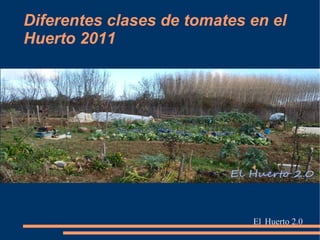 Diferentes clases de tomates en el
Huerto 2011




                             El Huerto 2.0
 