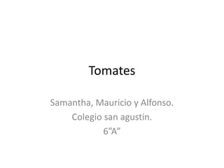 Tomates

Samantha, Mauricio y Alfonso.
    Colegio san agustin.
            6”A”
 