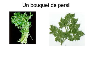 Un bouquet de persil
 
