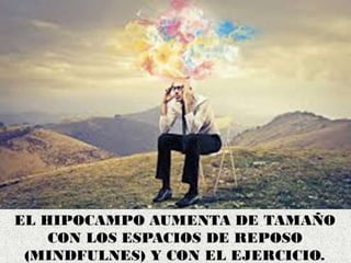 MINDFULNESS FECUNDA TUS IDEAS
