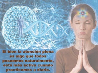 MINDFULNESS FECUNDA TUS IDEAS