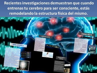 MINDFULNESS FECUNDA TUS IDEAS