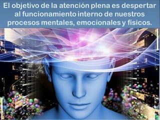 MINDFULNESS FECUNDA TUS IDEAS