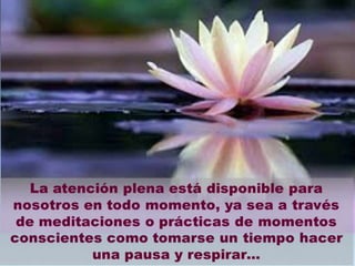 MINDFULNESS FECUNDA TUS IDEAS