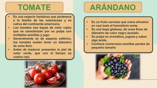 • Es una especie herbácea que pertenece
a la familia de las solanáceas y es
nativa del continente americano.
• Los tomates son bayas de color rojizo
que se caracterizan por su pulpa con
múltiples semillas y jugo.
• Generalmente es de aspecto esférico,
los tomates suelen tener un diámetro
de unos 8cm.
• Antes de madurar presentan la piel de
color verde, que con el tiempo se
vuelve rojo.
• Es un fruto carnoso que crece silvestre
en casi todo el hemisferio norte.
• Es una baya globosa, de unos 6mm de
diámetro de color negro azulado.
• Su pulpa es aromática, jugosa y sabor
algo ácido.
• Contiene numerosas semillas pardas de
pequeño tamaño
ARÁNDANO
TOMATE
 