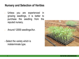Nursery and Selection of Verities 
- Unless you are experienced in 
growing seedlings, it is better to 
purchase the seedling from the 
reputed nursery. 
- Around 12000 seedlings/Acr. 
- Select the variety which is 
indeterminate type. 
4 
 